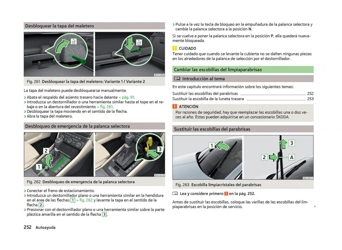 Skoda Superb III 3 manual del propietario / page 255