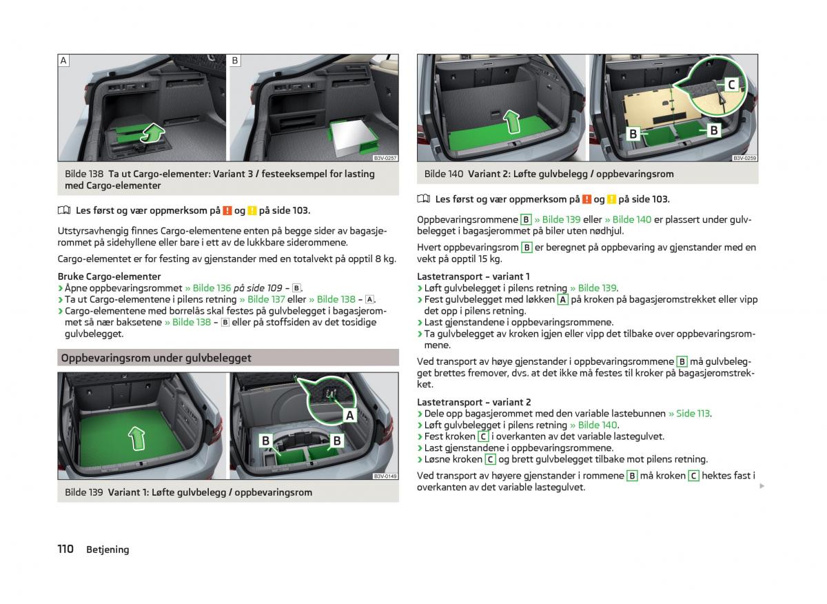 Skoda Superb III 3 bruksanvisningen / page 113