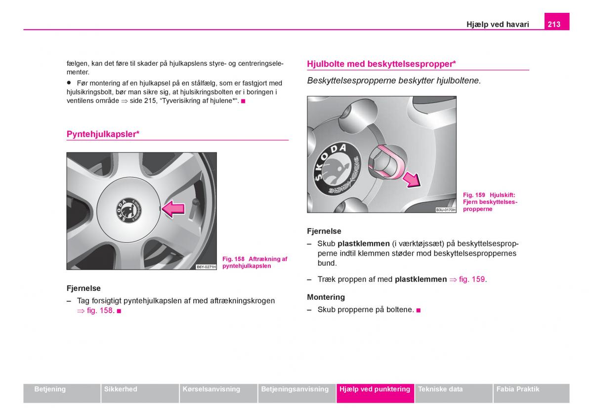 Skoda Fabia I 1 Bilens instruktionsbog / page 214