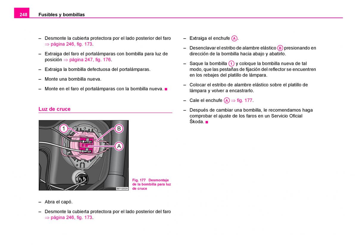 Skoda Fabia I 1 manual del propietario / page 249