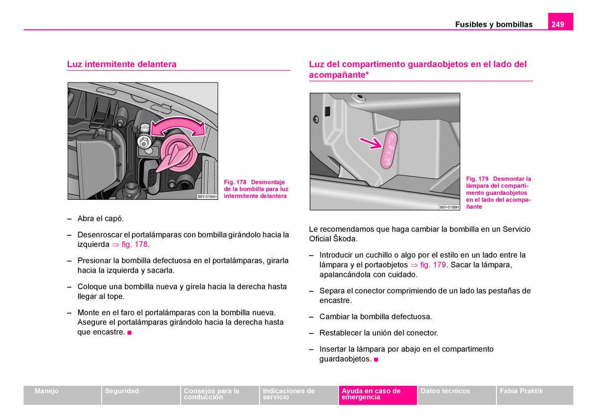 Skoda Fabia I 1 manual del propietario / page 250