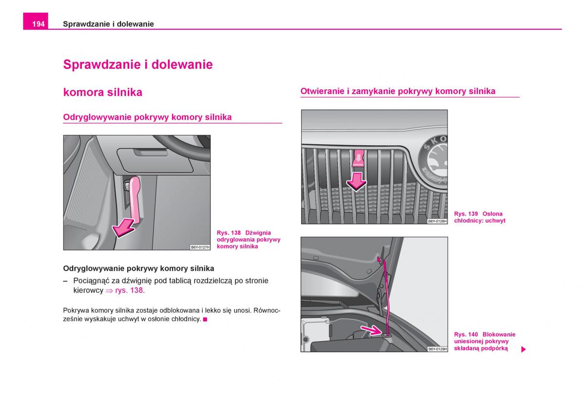 Skoda Fabia I 1 instrukcja obslugi / page 195