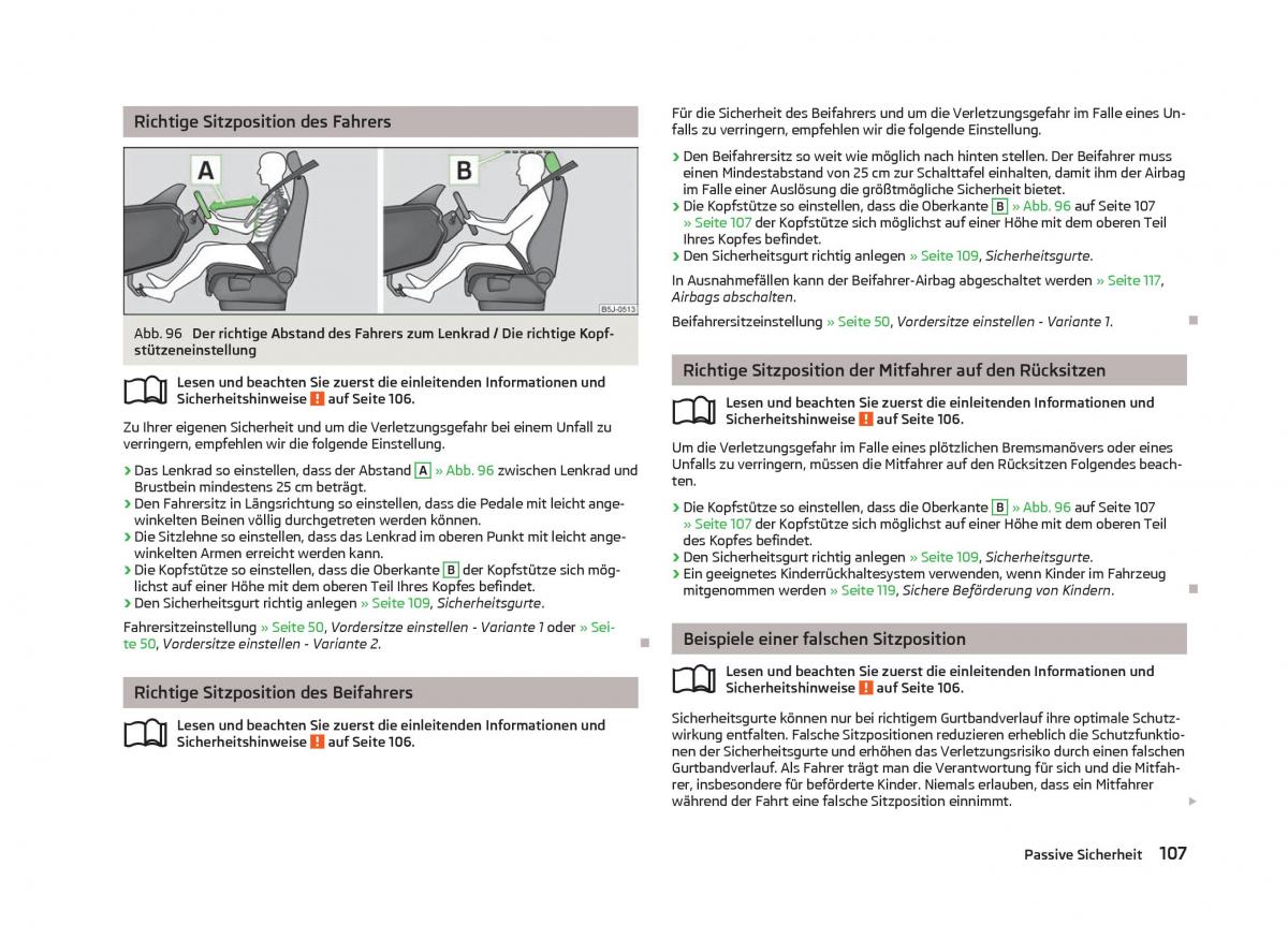 Skoda Fabia II 2 Handbuch / page 109