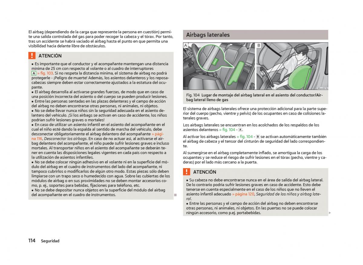 Skoda Fabia II 2 manual del propietario / page 116