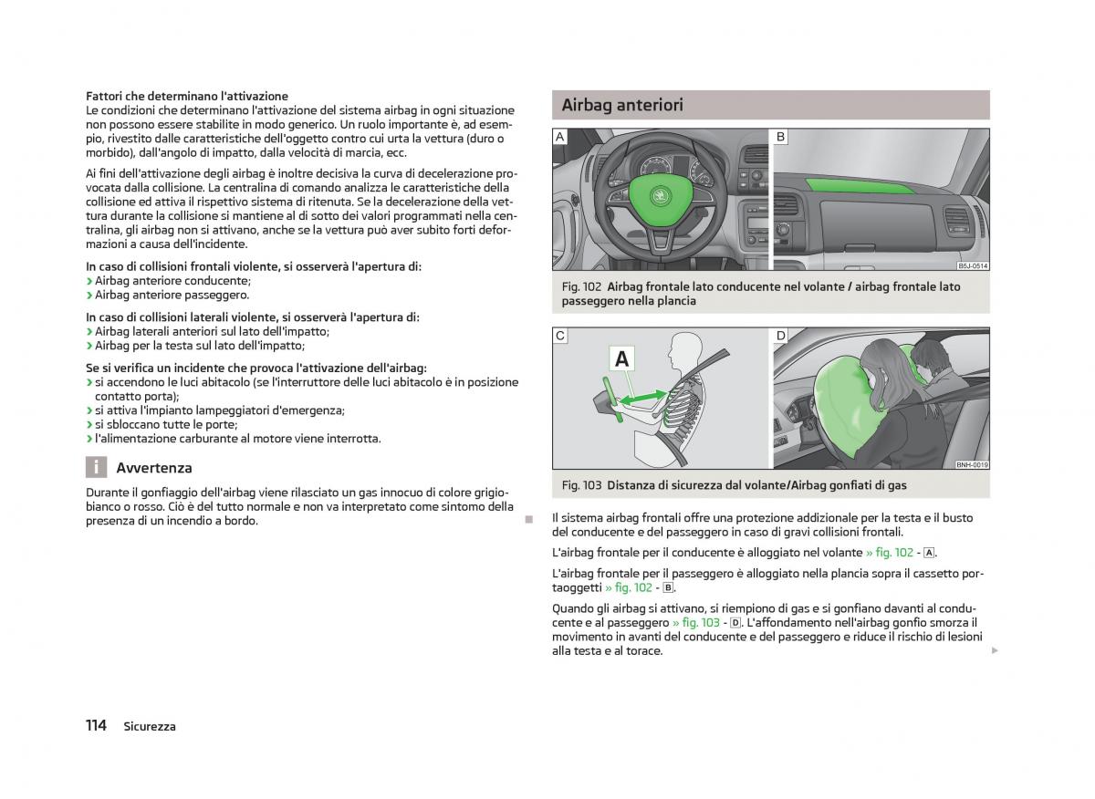 Skoda Fabia II 2 manuale del proprietario / page 116