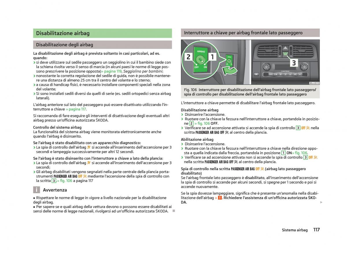 Skoda Fabia II 2 manuale del proprietario / page 119