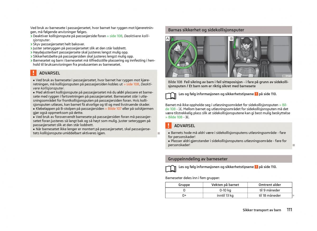 Skoda Fabia II 2 bruksanvisningen / page 113