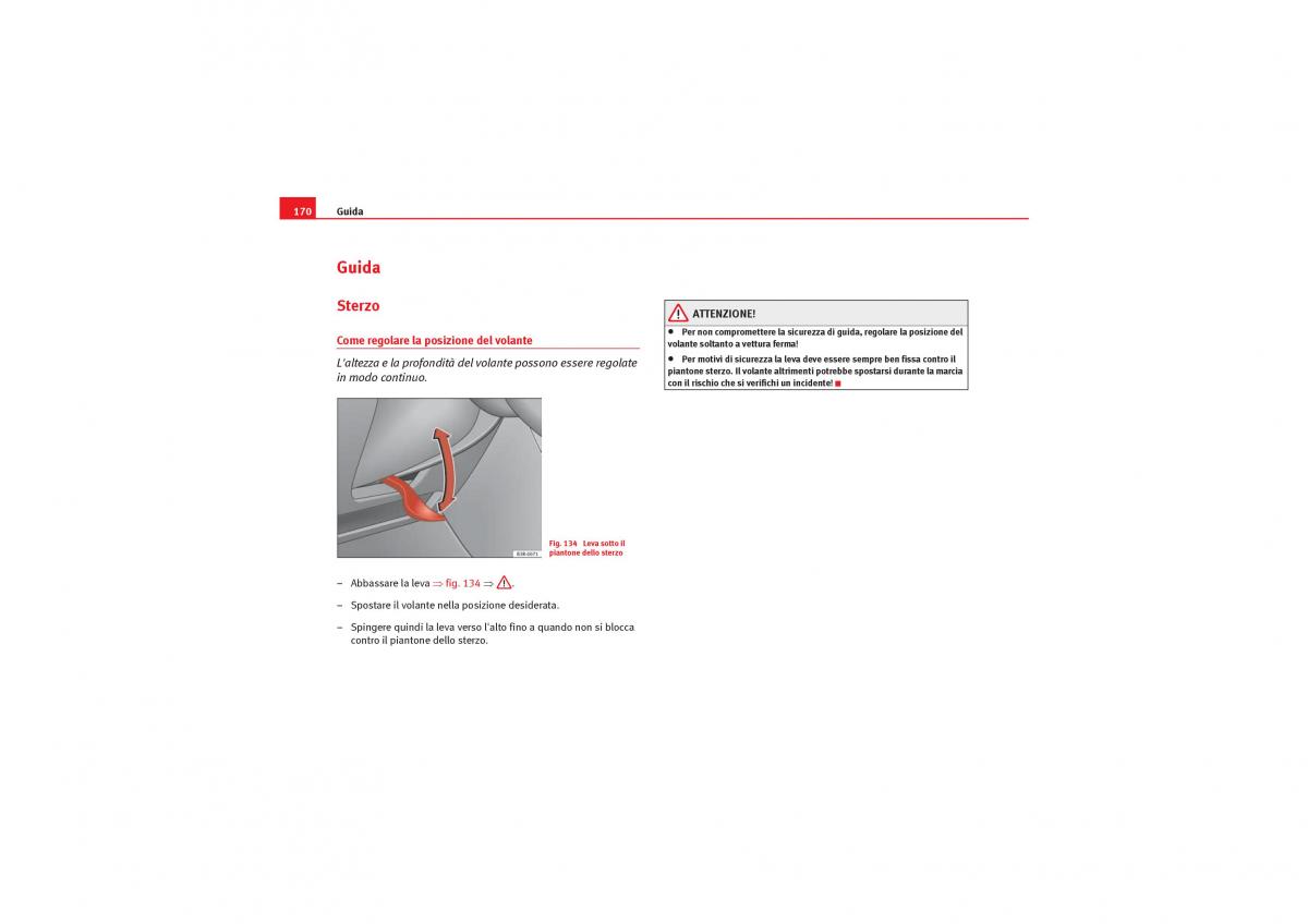 Seat Exeo manuale del proprietario / page 172