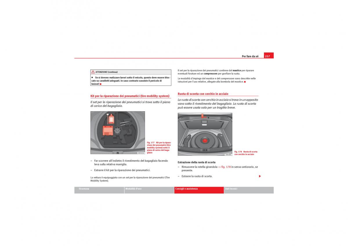 Seat Exeo manuale del proprietario / page 259