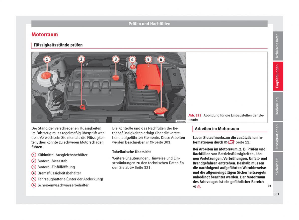 Seat Ateca Handbuch / page 303