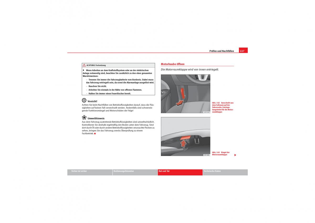 Seat Leon II 2 Handbuch / page 229