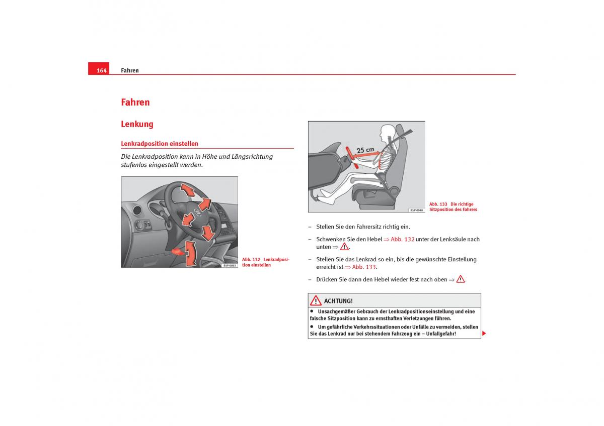 Seat Toledo III 3 Handbuch / page 166