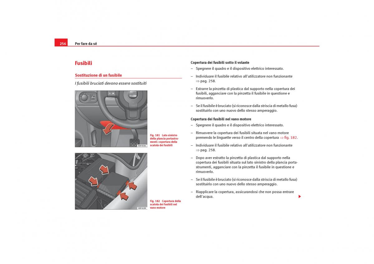 Seat Toledo III 3 manuale del proprietario / page 258