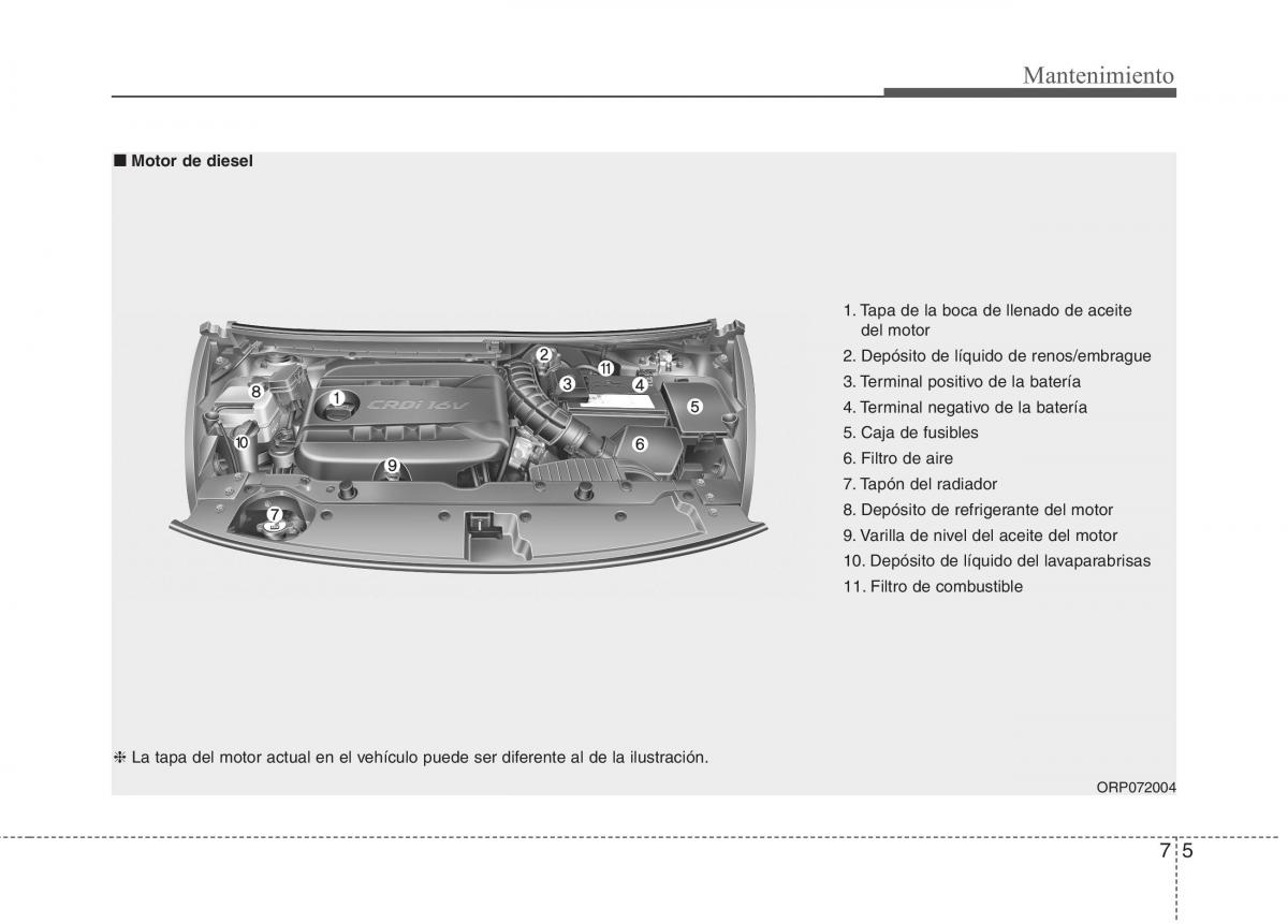 KIA Carens III 3 manual del propietario / page 561