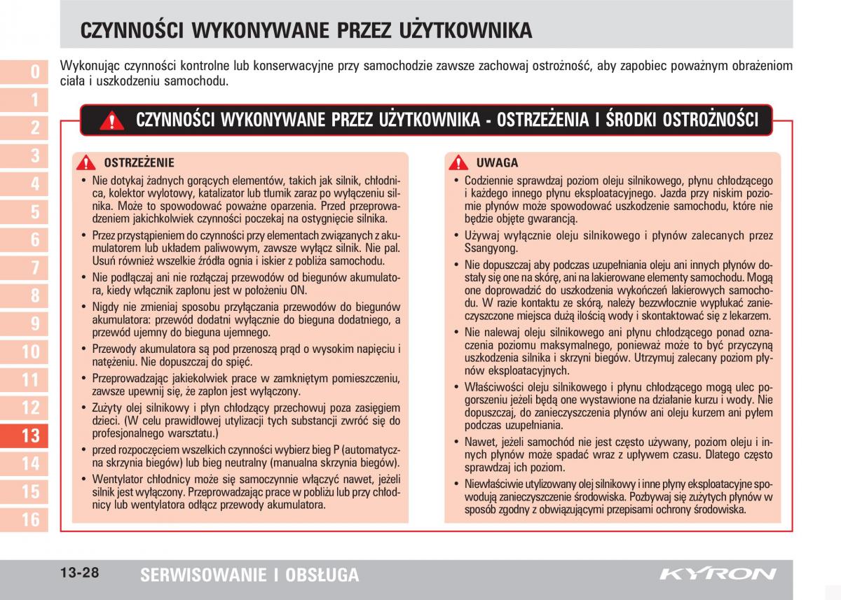 SsangYong Kyron instrukcja obslugi / page 241