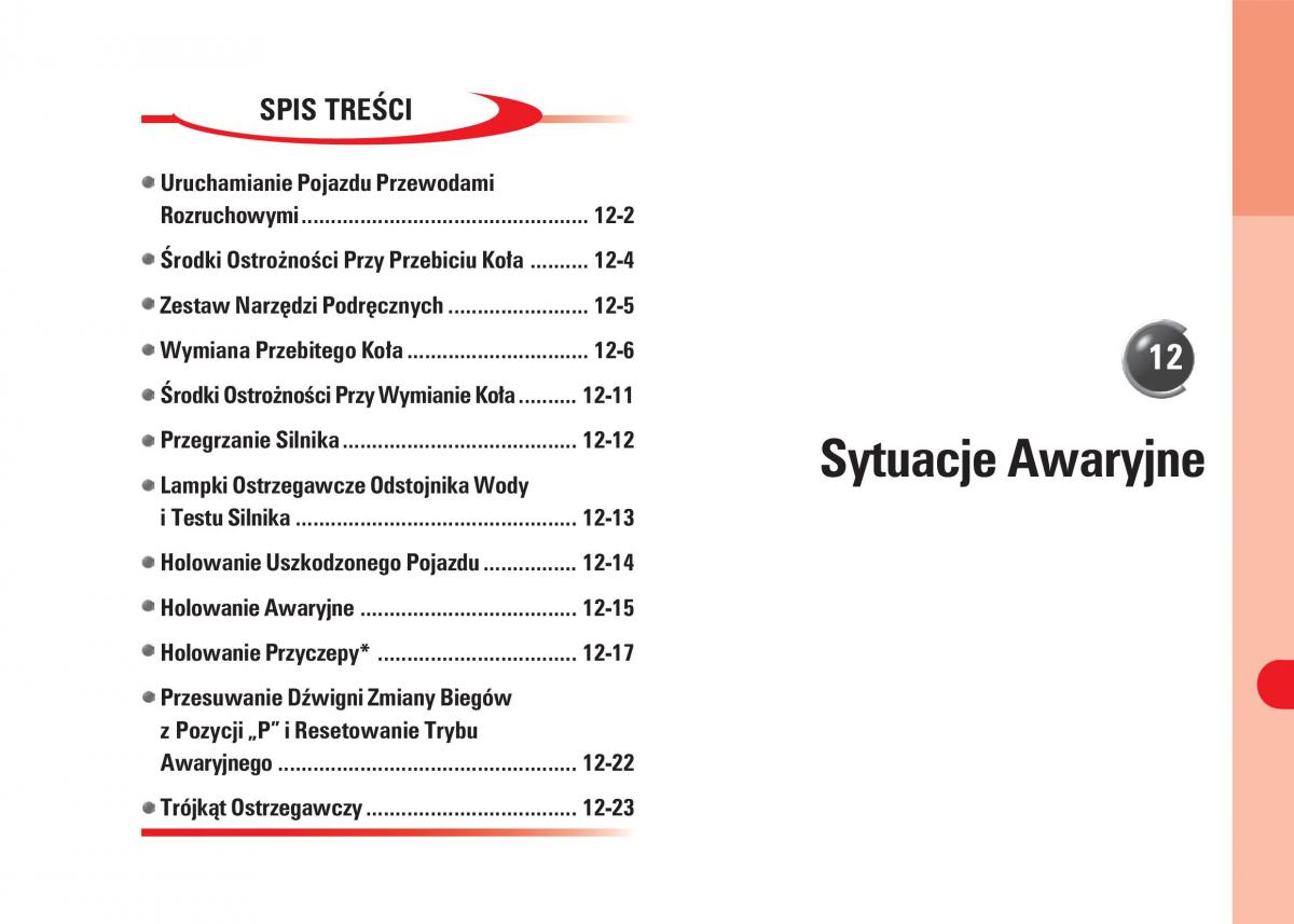 SsangYong Rodius instrukcja obslugi / page 189