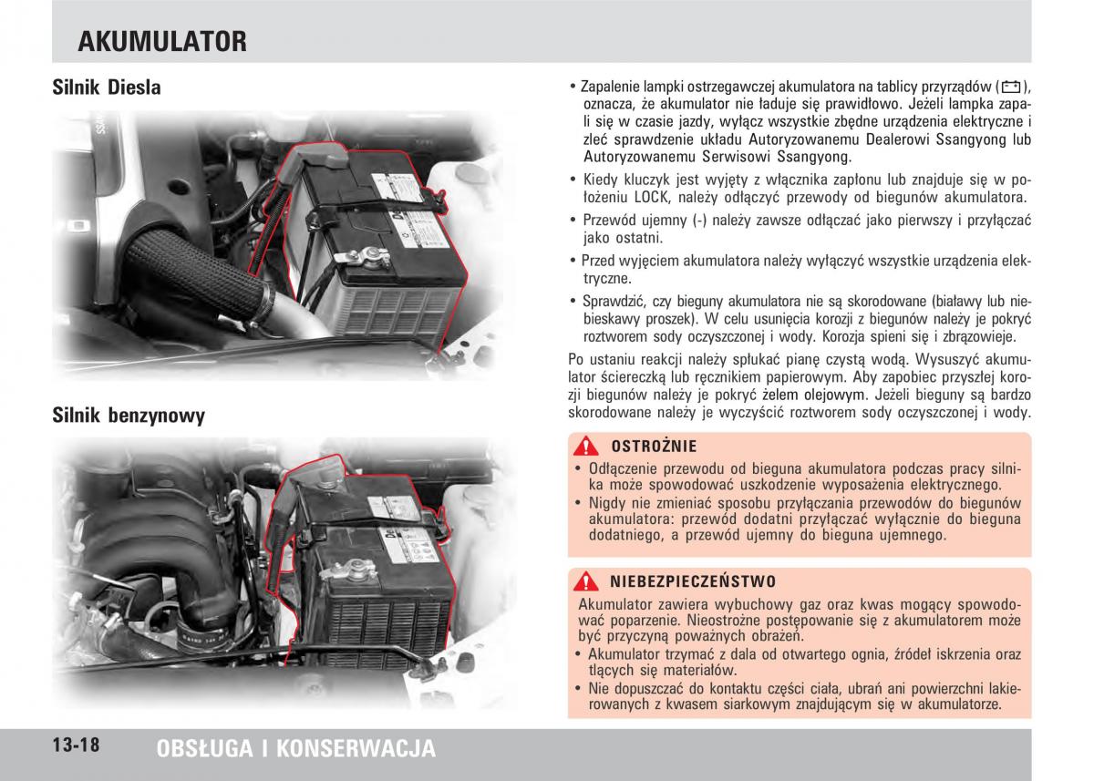 SsangYong Rodius instrukcja obslugi / page 230