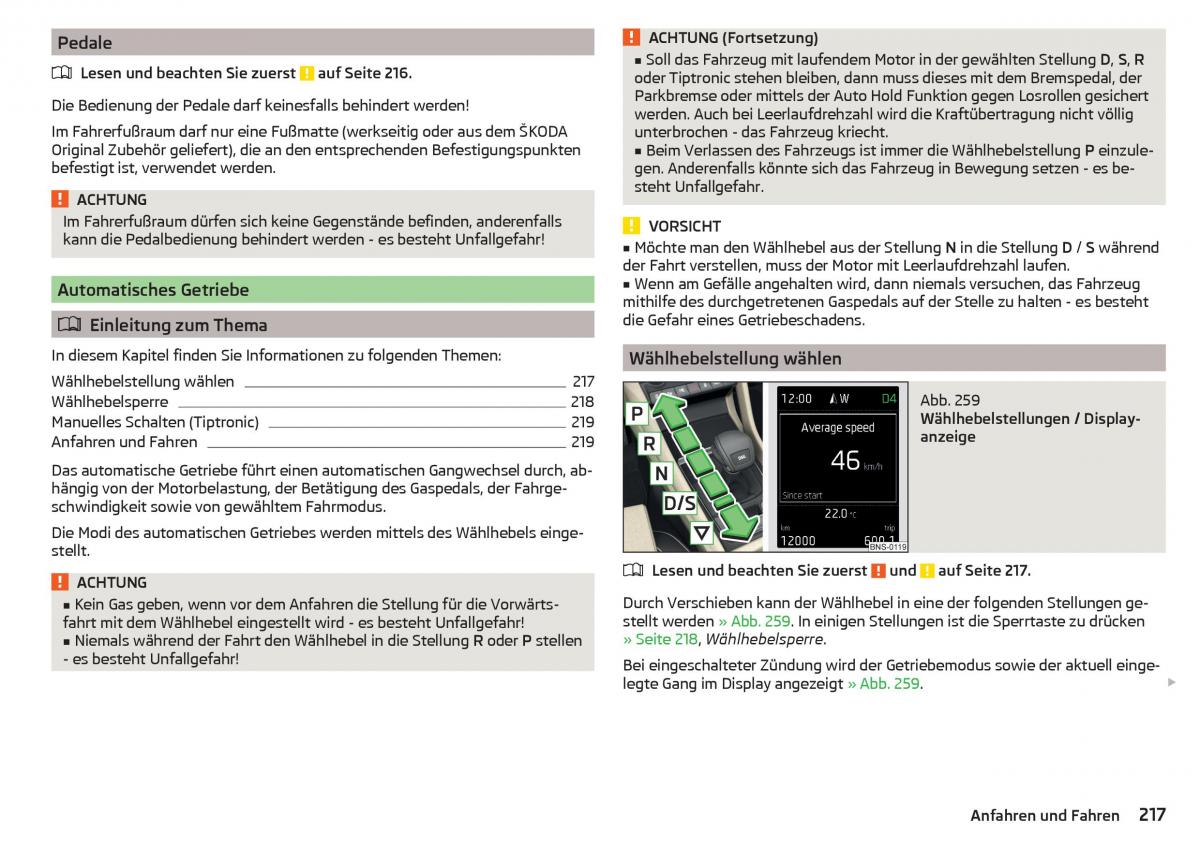 Skoda Kodiaq Handbuch / page 219