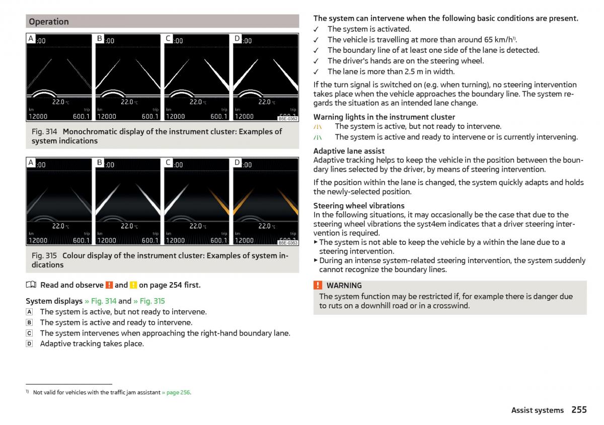 Skoda Kodiaq owners manual / page 257