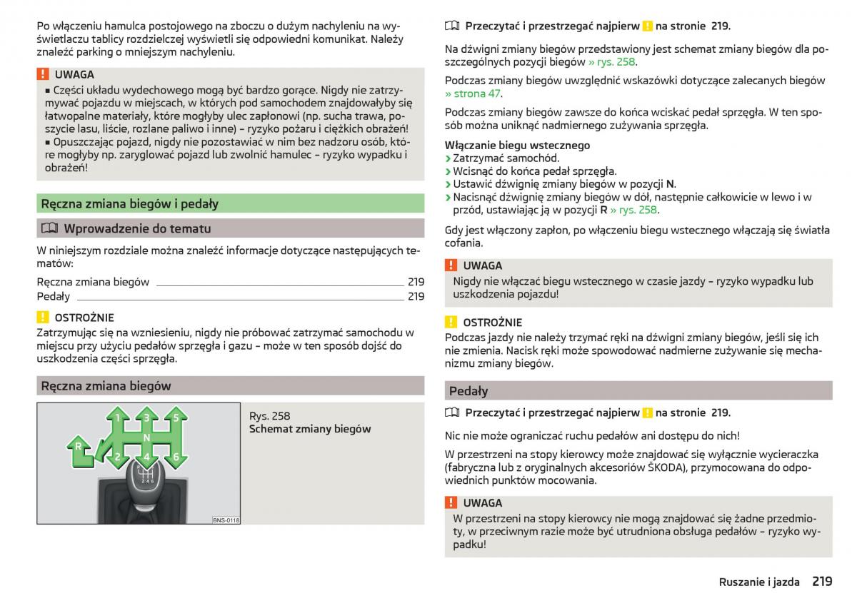 Skoda Kodiaq instrukcja obslugi / page 221