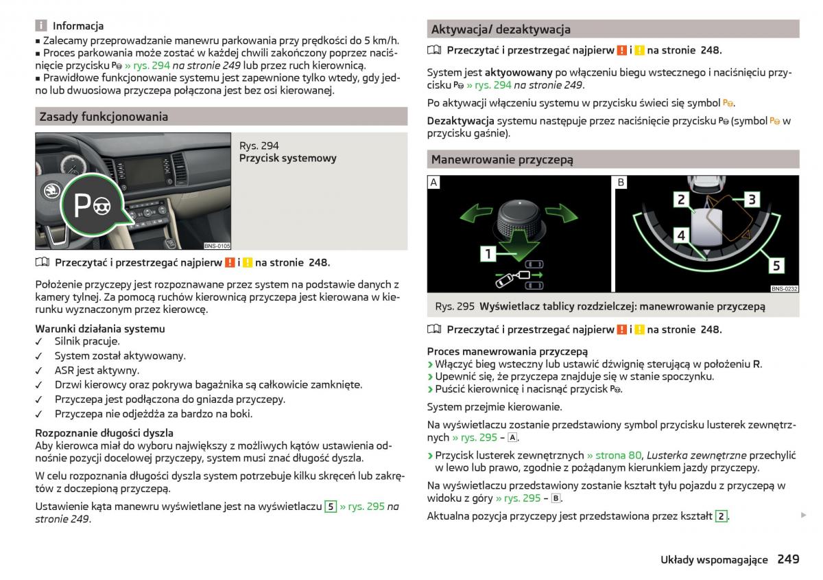 Skoda Kodiaq instrukcja obslugi / page 251