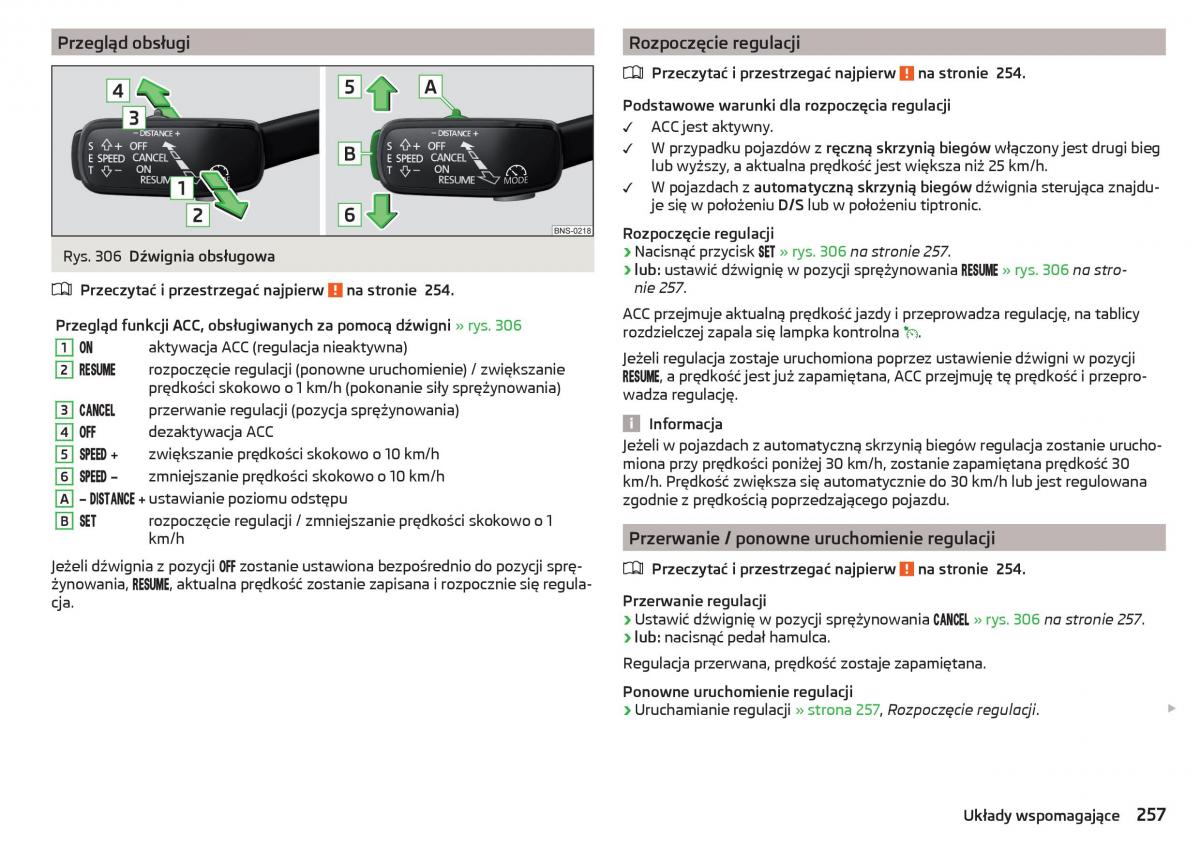 Skoda Kodiaq instrukcja obslugi / page 259