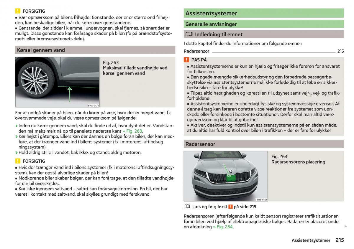 Skoda Kodiaq Bilens instruktionsbog / page 217