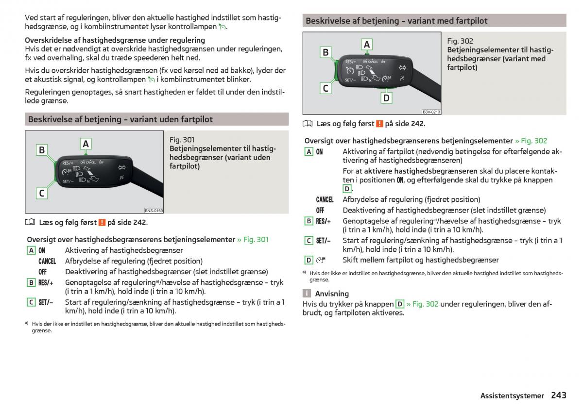 Skoda Kodiaq Bilens instruktionsbog / page 245