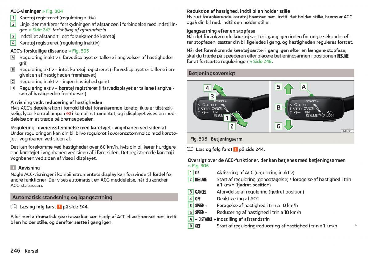 Skoda Kodiaq Bilens instruktionsbog / page 248