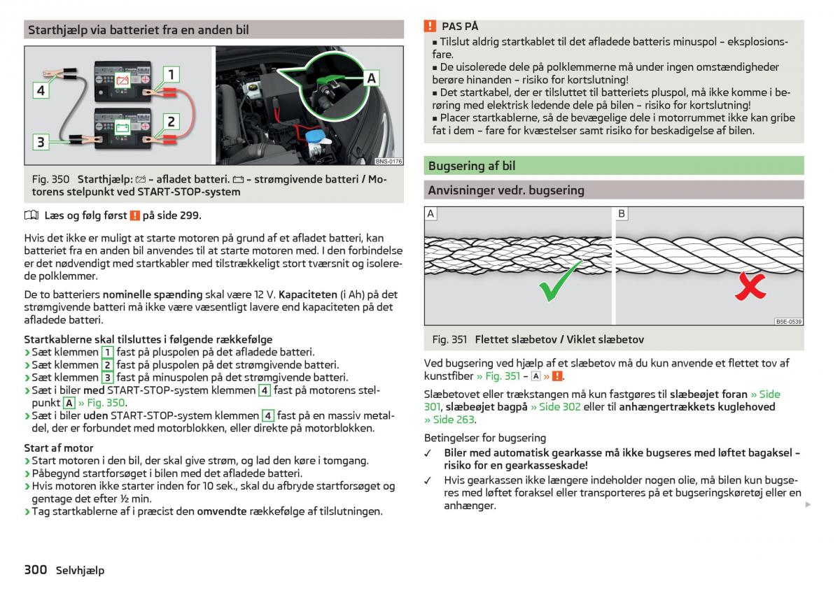 Skoda Kodiaq Bilens instruktionsbog / page 302