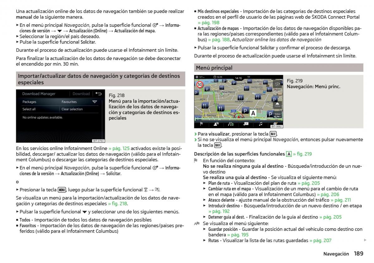 Skoda Kodiaq manual del propietario / page 191