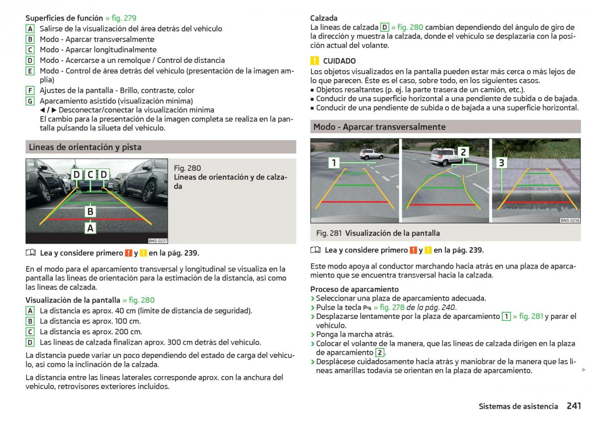 Skoda Kodiaq manual del propietario / page 243