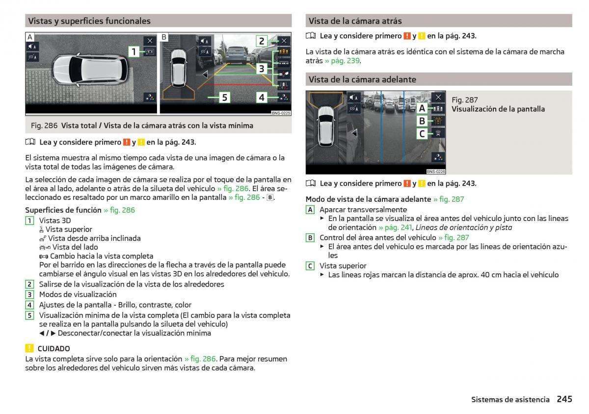 Skoda Kodiaq manual del propietario / page 247