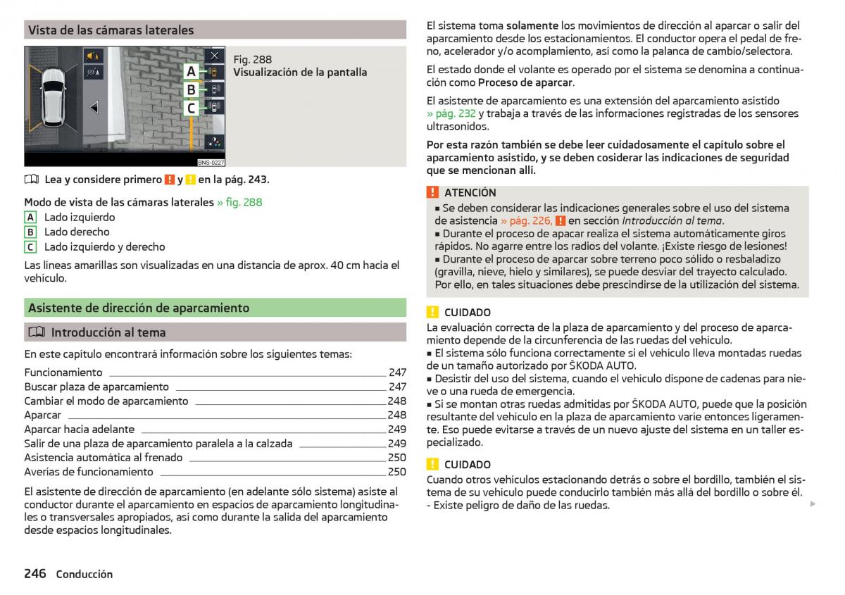 Skoda Kodiaq manual del propietario / page 248