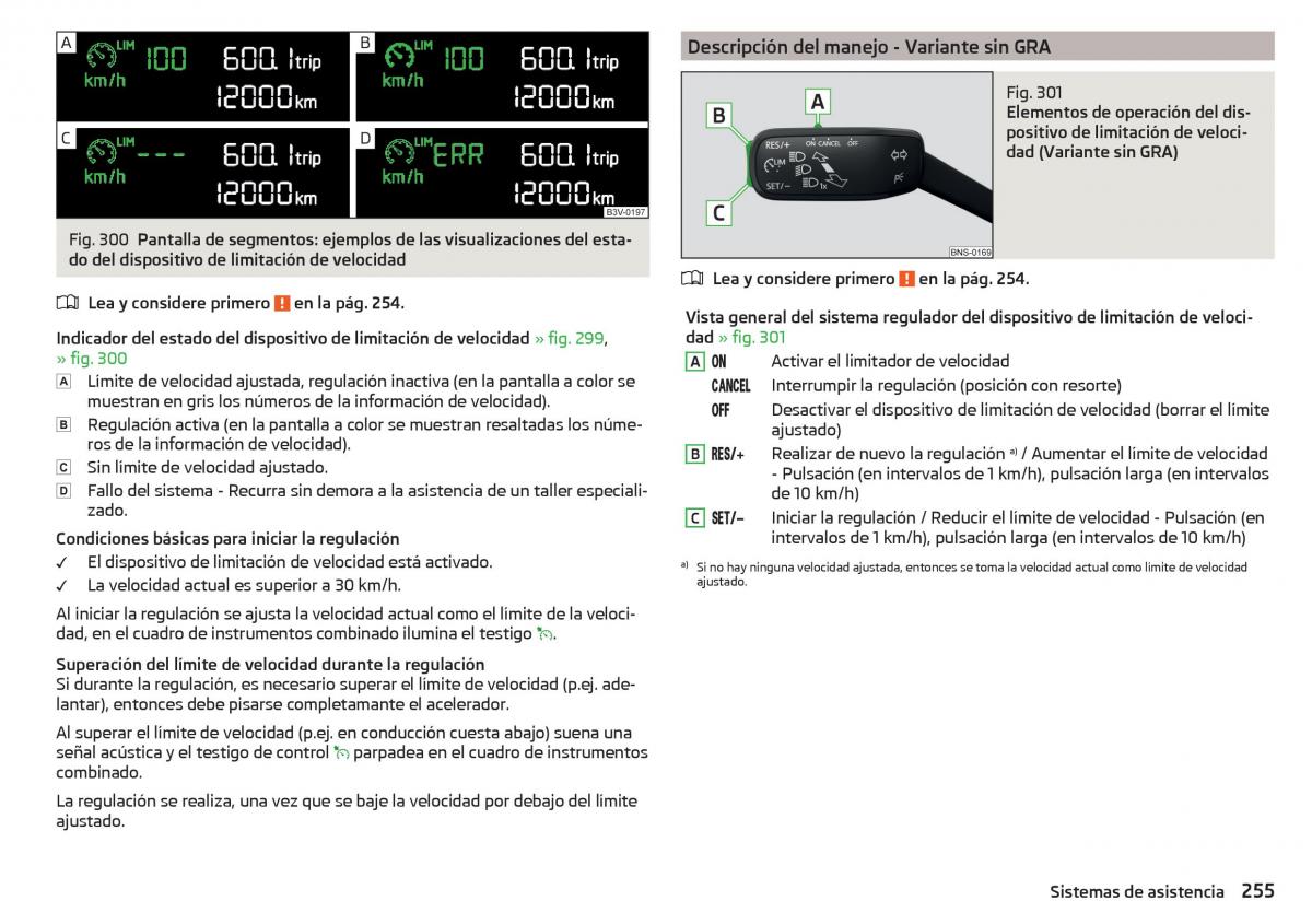 Skoda Kodiaq manual del propietario / page 257