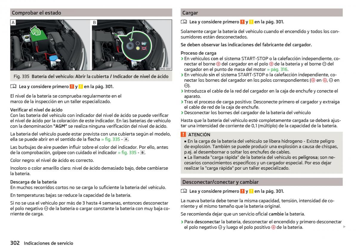 Skoda Kodiaq manual del propietario / page 304