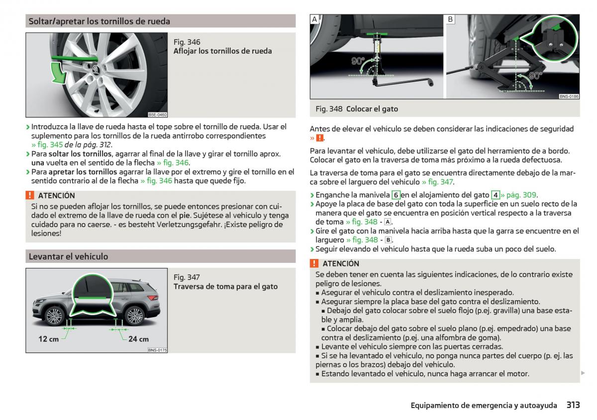 Skoda Kodiaq manual del propietario / page 315