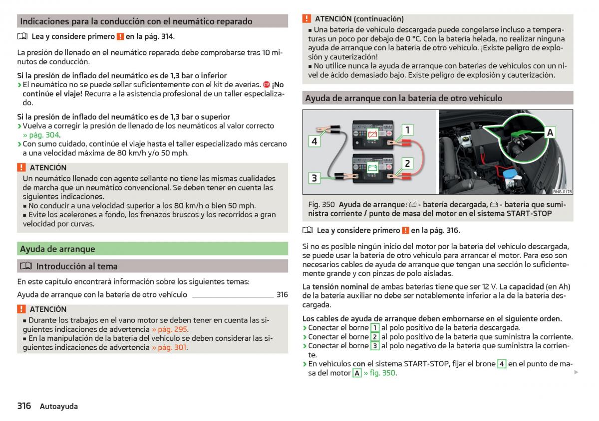 Skoda Kodiaq manual del propietario / page 318