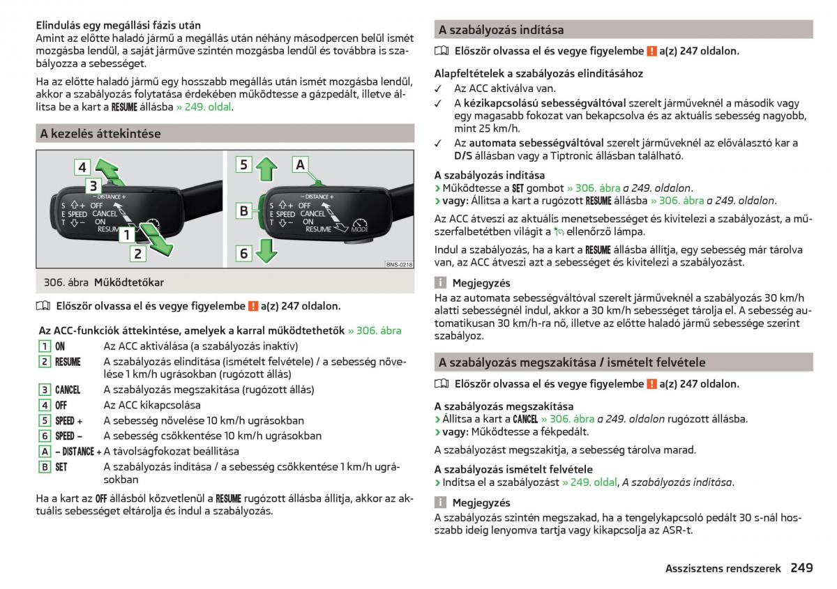 manual Skoda Kodiaq Kezelesi utmutato / page 251