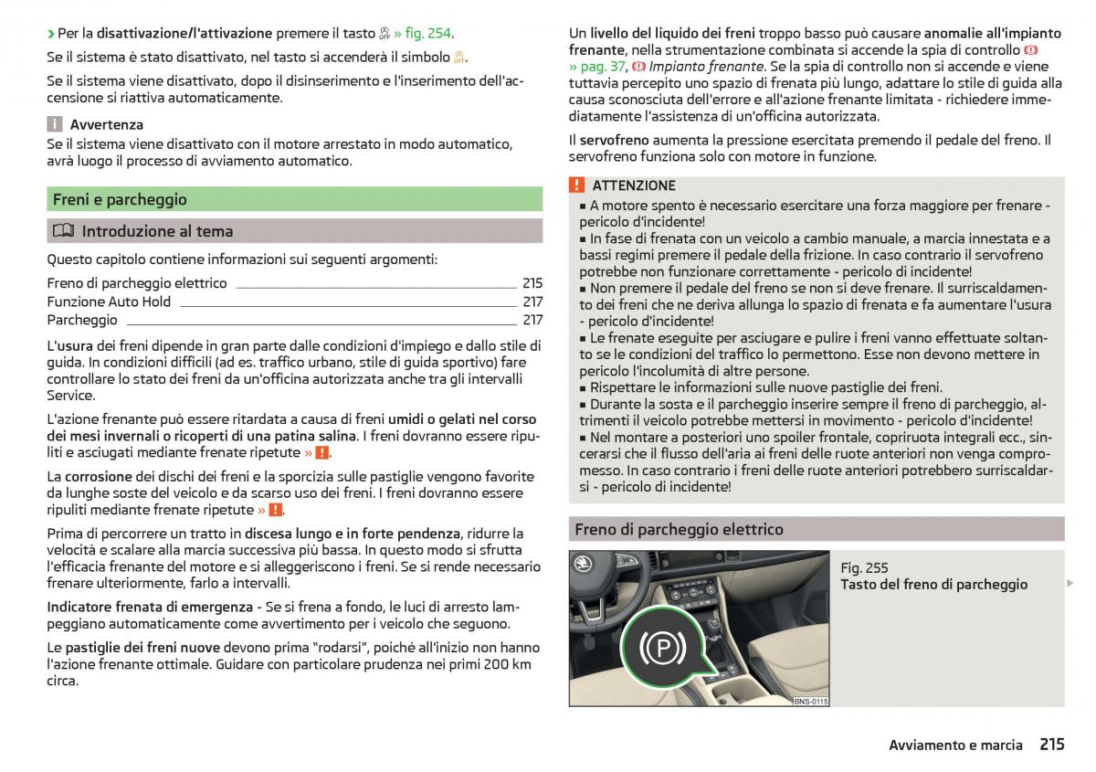 Skoda Kodiaq manuale del proprietario / page 217