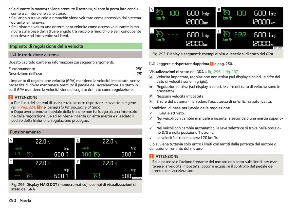 Skoda Kodiaq manuale del proprietario / page 252