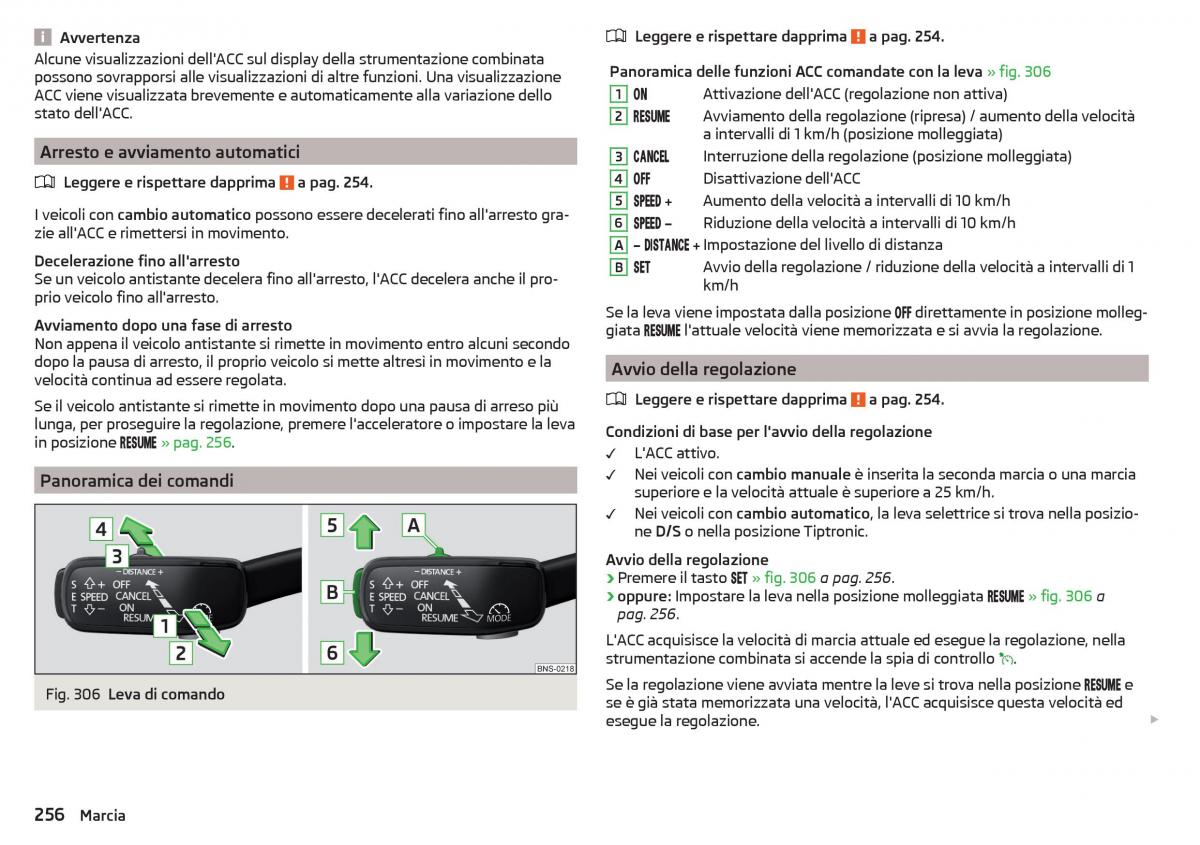 Skoda Kodiaq manuale del proprietario / page 258