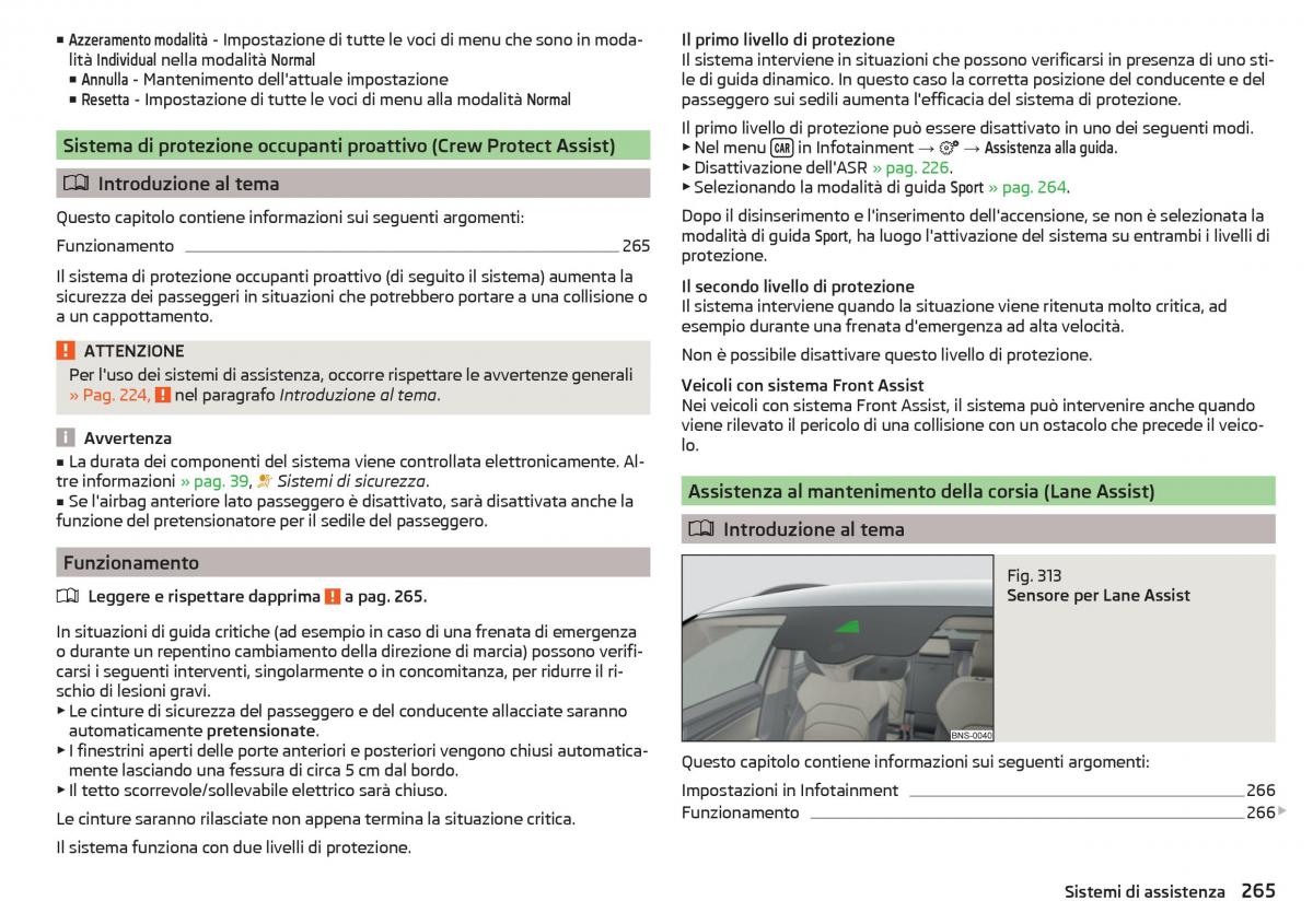 Skoda Kodiaq manuale del proprietario / page 267