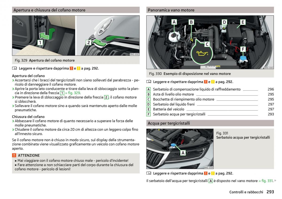 Skoda Kodiaq manuale del proprietario / page 295