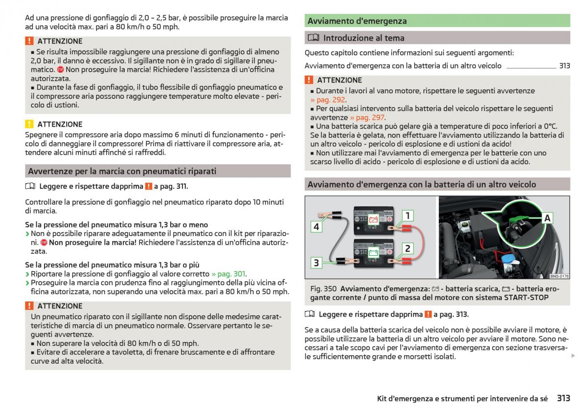 Skoda Kodiaq manuale del proprietario / page 315