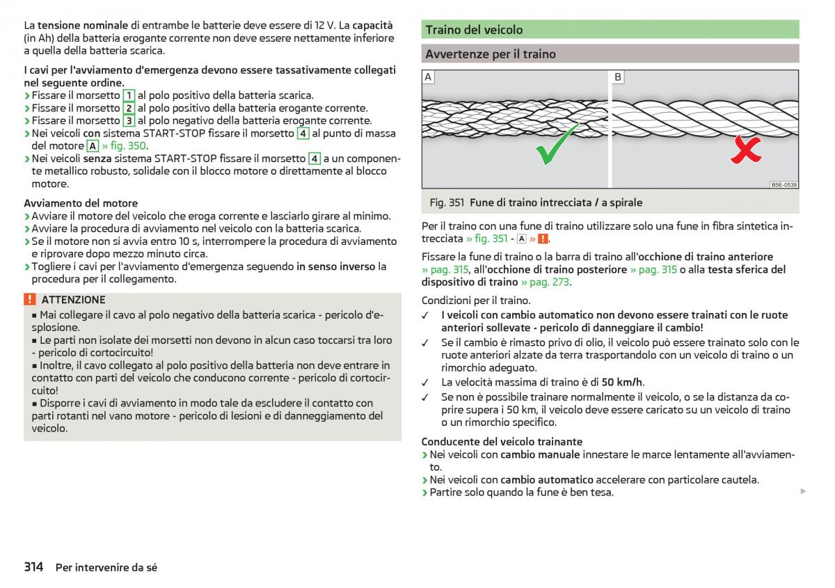 Skoda Kodiaq manuale del proprietario / page 316