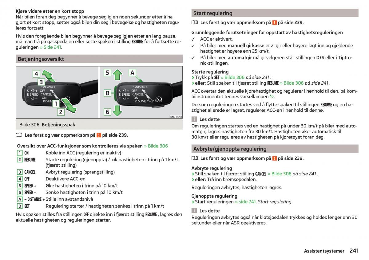 Skoda Kodiaq bruksanvisningen / page 243