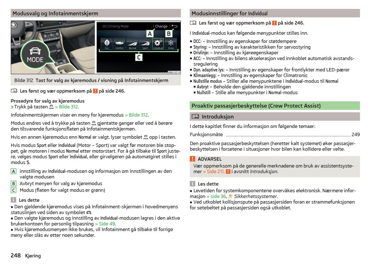 Skoda Kodiaq bruksanvisningen / page 250