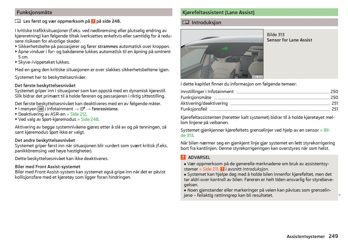 Skoda Kodiaq bruksanvisningen / page 251