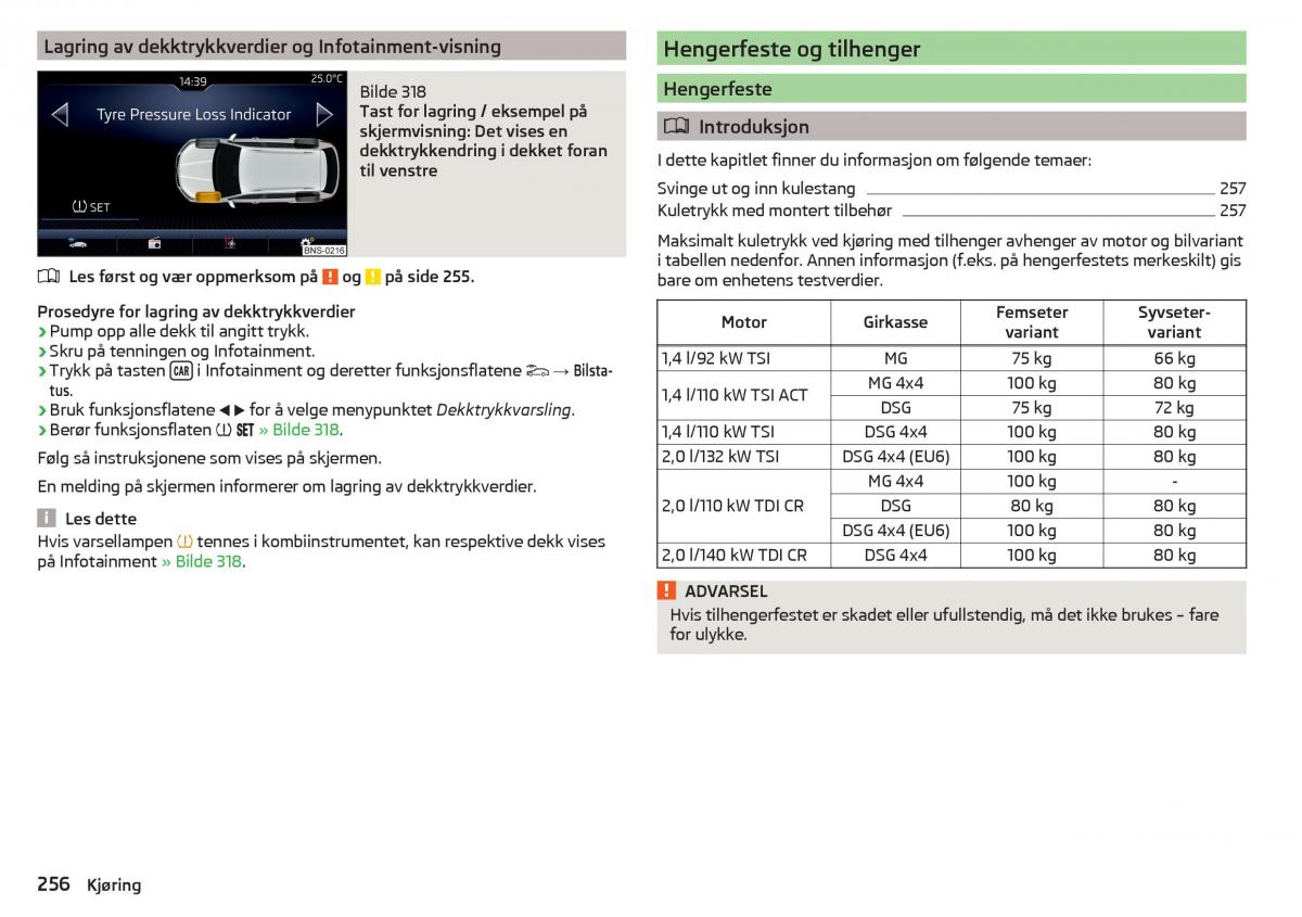 Skoda Kodiaq bruksanvisningen / page 258